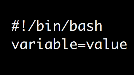 shell variables linux scripts explained examples
